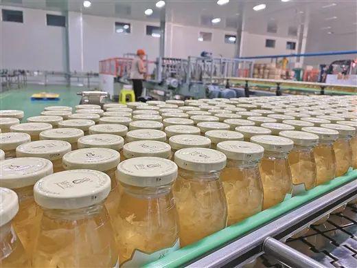 南疆边城建新功 食品产业谱新篇